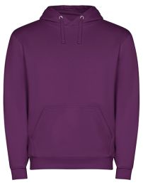 Sweatshirts & -jacken Purple 71 M_1784914