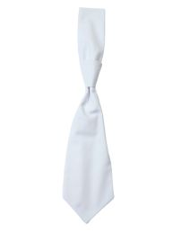 Krawatten & Fliegen White One Size_2198753