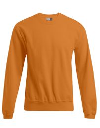 Sweatshirts & -jacken Orange XL_2535819