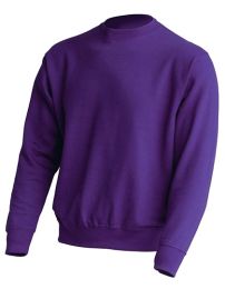 Sweatshirts & -jacken Purple XXL_2783528